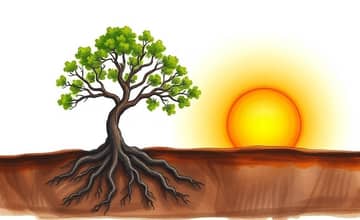 The Power of Patience: Long-Term Investing Rewards