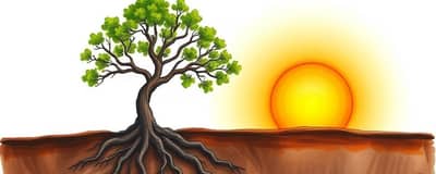 The Power of Patience: Long-Term Investing Rewards