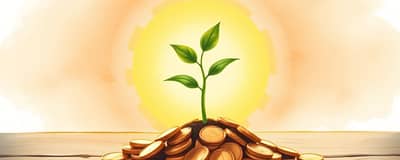 How to Grow Your Finances Starting From a Low Income