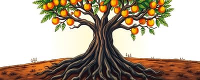 The Power of Patience: Long-Term Investing Strategies