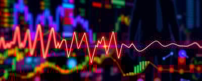 The Portfolio's Pulse: Monitoring Health and Performance